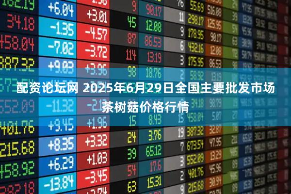 配资论坛网 2025年6月29日全国主要批发市场茶树菇价格行情